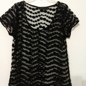 The Limited Size XL Mesh Net To